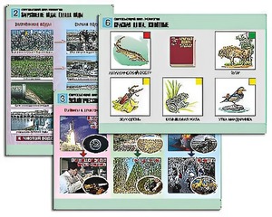 Комплект таблиц "Окружающий мир. Экология" (6 таблиц, А1, ламинированные) - fgospostavki.ru - Рязань