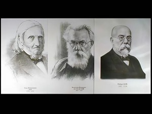 Портреты биологов (26 штук, формат А3) - fgospostavki.ru - Рязань