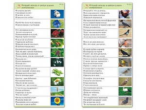 Комплект карточек (10) "Обучающий калейдоскоп. Природа" - fgospostavki.ru - Рязань
