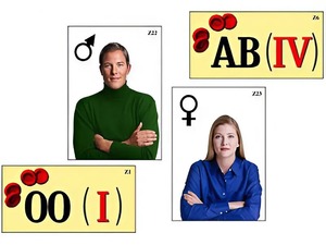 Модель-аппликация "Генетика групп крови" (ламинированная) - fgospostavki.ru - Рязань