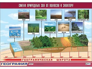 Таблица демонстрационная "Смена природных зон от полюсов к экватору" (винил 70*100) - fgospostavki.ru - Рязань