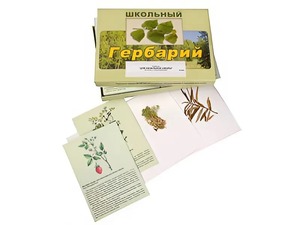 Гербарий "Для начальной школы" (30 видов, с иллюстрациями) - fgospostavki.ru - Рязань