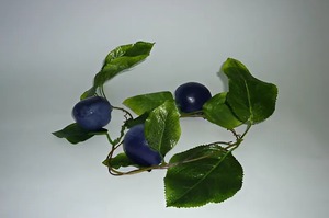 Ветка муляжей "Слива" - fgospostavki.ru - Рязань