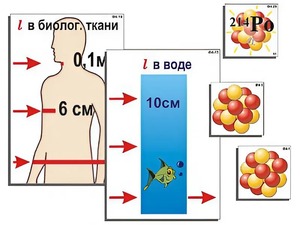 Модель-аппликация "Явление радиоактивности" (ламинированная) - fgospostavki.ru - Рязань