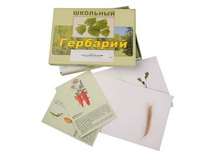 Гербарий "Культурные растения" (30 видов, с иллюстрациями) - fgospostavki.ru - Рязань