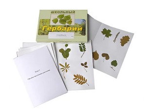 Гербарий "Морфология растений" (6 тем, 30 видов) - fgospostavki.ru - Рязань