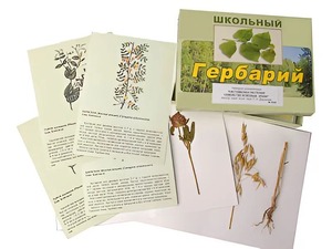 Гербарий "Систематика растений. Семейство Бобовые. Злаки" (раздаточный) - fgospostavki.ru - Рязань