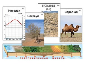 Модель-аппликация "Природные зоны" - fgospostavki.ru - Рязань