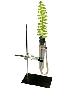 Прибор для демонстрации всасывания воды корнями - fgospostavki.ru - Рязань