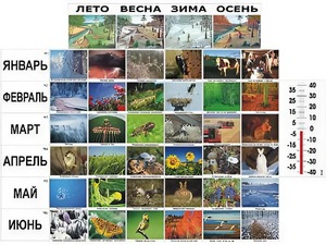 Фенологические наблюдения - fgospostavki.ru - Рязань