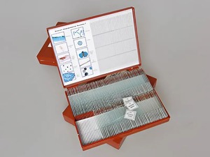 Комплект микропрепаратов "Ботаника 2" - fgospostavki.ru - Рязань