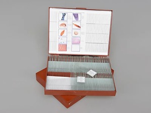 Комплект микропрепаратов "Общая биология" - fgospostavki.ru - Рязань