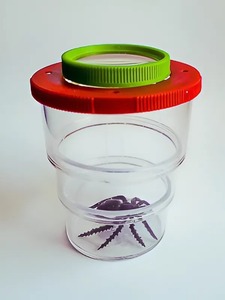 Коробка для изучения насекомых (с лупой) - fgospostavki.ru - Рязань