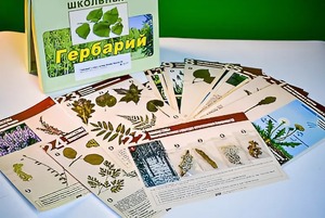 Гербарий к курсу основ общей биологии - fgospostavki.ru - Рязань