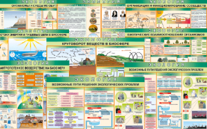 Комплект таблиц "Экология (9 листов)" (100х140 сантиметров, винил) - fgospostavki.ru - Рязань