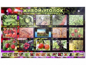 Комплект оборудования "Живой уголок" (растения) с тифлопереводом и сурдокомментариями - fgospostavki.ru - Рязань