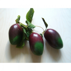 Ветка муляжей "Манго" - fgospostavki.ru - Рязань