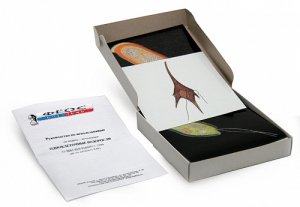 Модель-аппликация "Одноклеточные водоросли" (набор из 24 карт) - fgospostavki.ru - Рязань