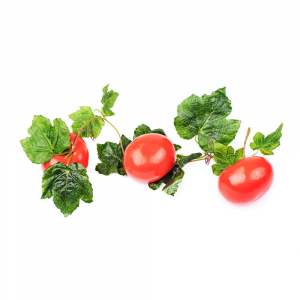 Ветка муляжей "Помидоры" - fgospostavki.ru - Рязань