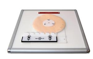 Комплекс "Изучение зубьев" - fgospostavki.ru - Рязань