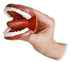 Муляж артикуляционного аппарата - fgospostavki.ru - Рязань