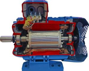 Учебная модель «Электродвигатель асинхронный в разрезе» - fgospostavki.ru - Рязань