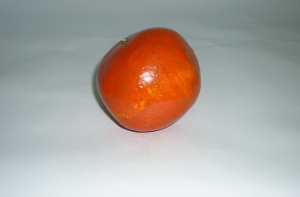 Муляж "Гранат" - fgospostavki.ru - Рязань