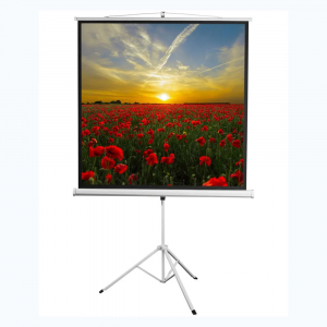 Экран на штативе DSKD-1105  - fgospostavki.ru - Рязань