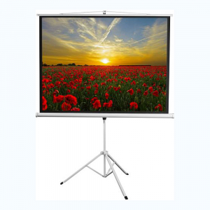 Экран на штативе DSKD-4303 - fgospostavki.ru - Рязань