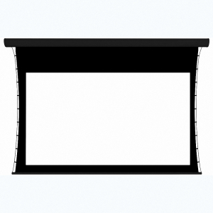 Экран настенный с электроприводом DSTPX-16915 - fgospostavki.ru - Рязань