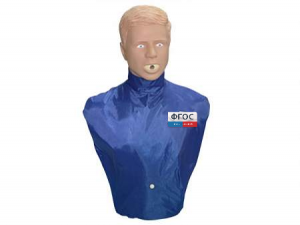 Тренажер-манекен взрослого пострадавшего "Искандер" для отработки приемов удаления инородного тела из верхних дыхательных путей - fgospostavki.ru - Рязань