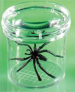 Баночка для изучения насекомых GeoSafari - fgospostavki.ru - Рязань