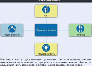 Интерактивные курсы. Биология 5 класс. Базовый - fgospostavki.ru - Рязань