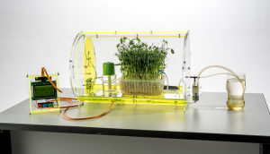 Чудо-грядка (базовая комплектация) - fgospostavki.ru - Рязань