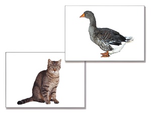 Дидактическое пособие "Домашние животные" (24 карточки) - fgospostavki.ru - Рязань