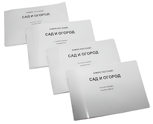 Пособие для слабовидящих - В мире растений: сад и огород - fgospostavki.ru - Рязань