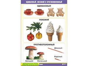 Таблица демонстрационная "Одинаковый, похожий и противоположный" (винил 70x100) - fgospostavki.ru - Рязань