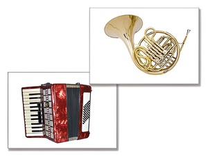 Дидактическое пособие "Музыкальные инструменты" (24 карточки) - fgospostavki.ru - Рязань