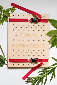 Пресс гербарный (сетка) - fgospostavki.ru - Рязань