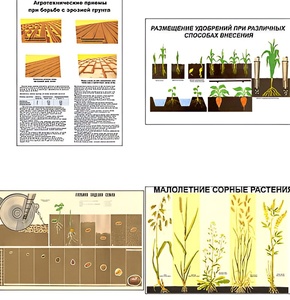 Плакаты ПРОФТЕХ "Агрономия" (5 пл, винил, 70х100) - fgospostavki.ru - Рязань