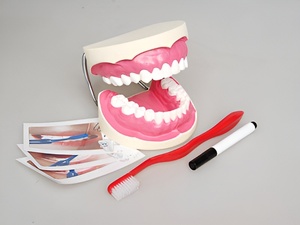 Игровой комплект "Чистим зубы" - fgospostavki.ru - Рязань