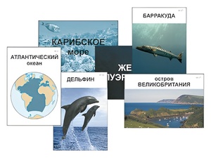 Модель-аппликация "Океаны. Знакомство" (ламинированная) - fgospostavki.ru - Рязань