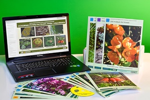 Гербарий натурально-интерактивный "Основные группы растений. Грибы. Лишайники" - fgospostavki.ru - Рязань