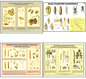 Плакаты ПРОФТЕХ "Вредители и болезни с/х культур и меры борьбы с ними" (11 пл, винил, 70х100) - fgospostavki.ru - Рязань