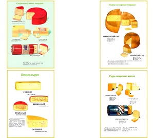 Плакаты ПРОФТЕХ "Ассортимент сыров" (9 пл, винил, 70х100) - fgospostavki.ru - Рязань