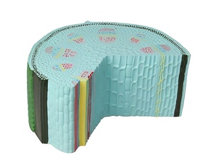 Модель стебля растения - fgospostavki.ru - Рязань