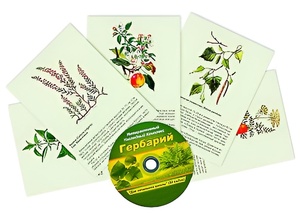 Интерактивный наглядный комплекс "Гербарий "Для начальной школы" - fgospostavki.ru - Рязань