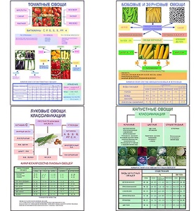 Плакаты ПРОФТЕХ "Классификация овощей" (11 пл, винил, 70х100) - fgospostavki.ru - Рязань