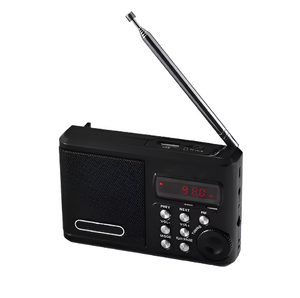 Радиоприемник цифровой с крупными кнопками - fgospostavki.ru - Рязань