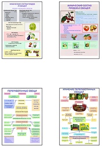 Плакаты ПРОФТЕХ "Классификация овощей и переработка" (8 пл, винил, 70х100) - fgospostavki.ru - Рязань